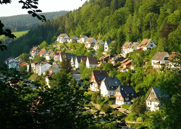 Im Haus Schiefertal, شقة